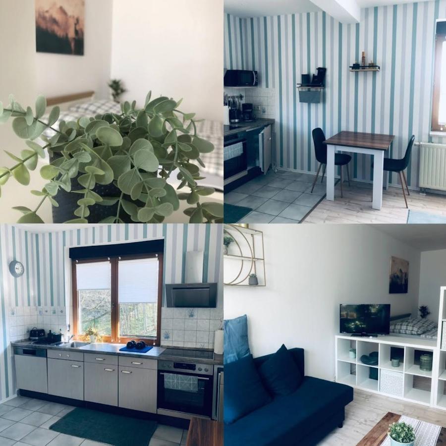 Ferienwohnung Shakira Penig Exterior foto